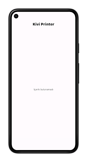 Kivi Printer Screenshot 2