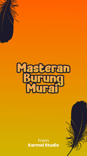 Masteran Burung Murai Mp3 Screenshot 0