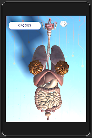 Anatomy Systems Screenshot 2