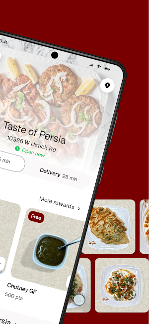 Taste of Persia Screenshot 1
