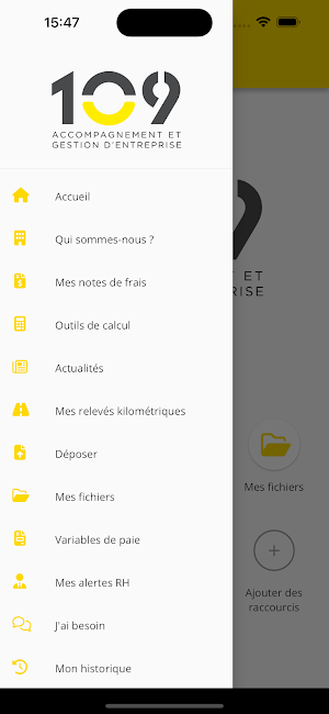 109 GESTION Screenshot 2