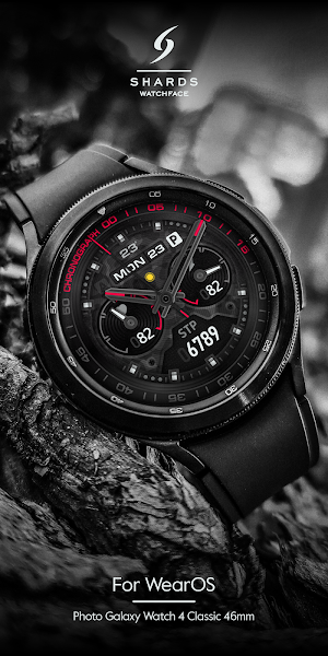 SH014 Watch Face, WearOS watch Screenshot 1