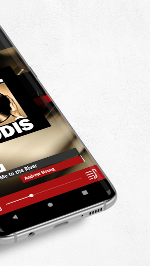 Vinylgodis Screenshot 1