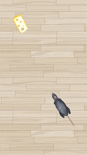 Mouse Simulator Cat Rat Games Screenshot 1