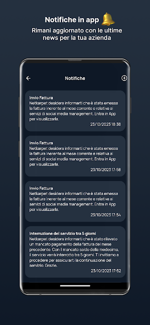 Netkarpet Screenshot 2
