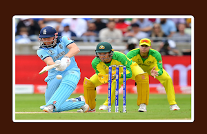 All World Sports Channels 24x7 Screenshot 2