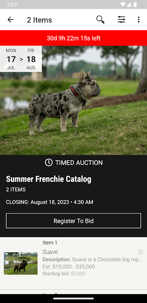 Ace Canine Screenshot 1