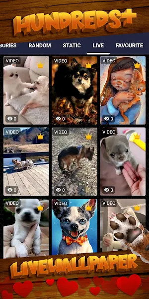 chihuahua wallpaper Screenshot 2