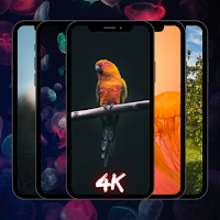 4k Wallpapers || Hd Wallpapers
