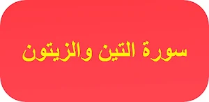 سورة التين والزيتون Screenshot 0
