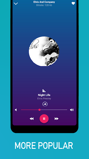 Rock and Roll Music Screenshot 2