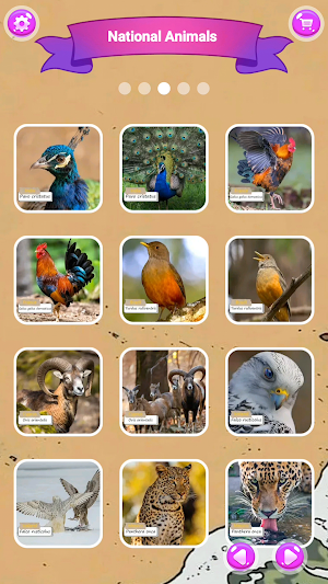 National Animals Puzzle Screenshot 2