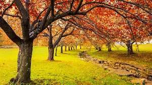 Autumn Wallpapers 4k 2023 Screenshot 0