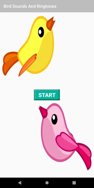 Bird Sounds And Ringtones Screenshot 0