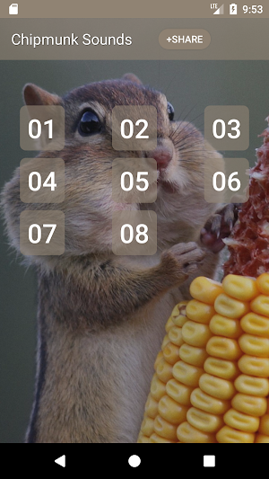Chipmunk (Animal) Sounds Screenshot 0