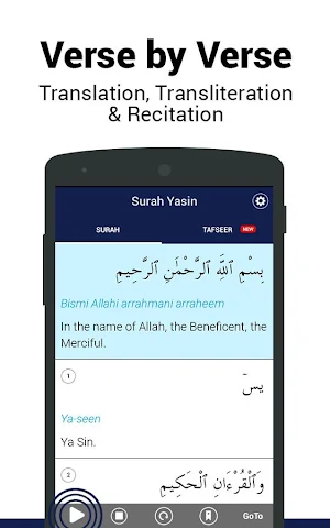 Surah Yasin Screenshot 0