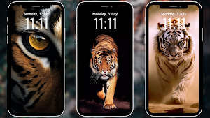 Tiger Wallpapers 4K Screenshot 0