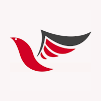 Vissoft Insight