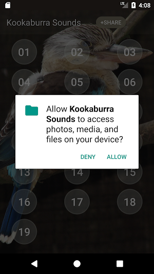 Kookaburra Sounds Screenshot 3