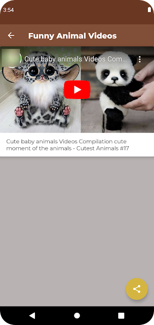 Funny Animal Videos Screenshot 2