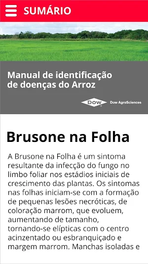 Doenças do Arroz Screenshot 1