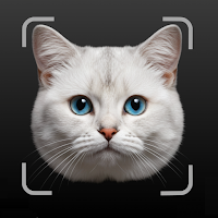 MeowScan – Cat Identifier