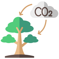 Carbon Footprint by BigBites