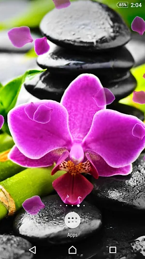 Orchid Live Wallpaper Screenshot 0