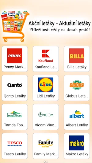 Flyers & Discounts & Catalogs Screenshot 0