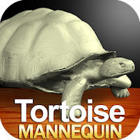 Tortoise Mannequin