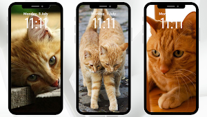 Cat Wallpaper Kawaii Screenshot 2