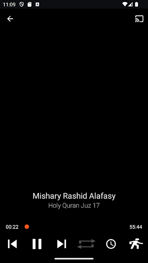 Holy Quran Juz 17 MP3 Screenshot 3
