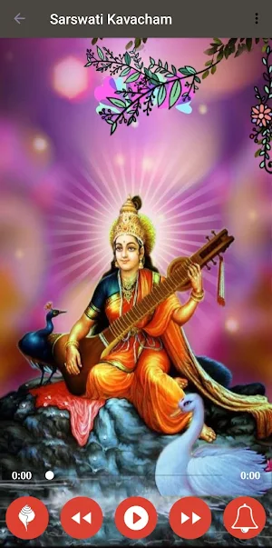 Sarswati Kavach & Stotra Screenshot 1