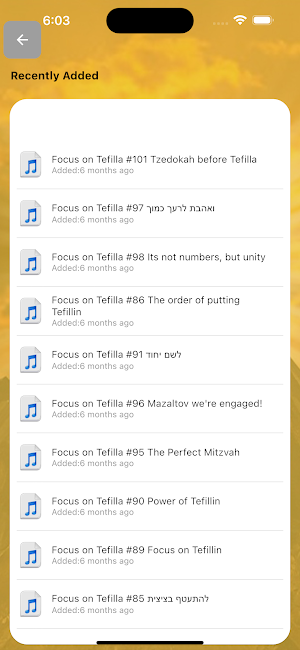R' Moishe Schnerb Screenshot 2