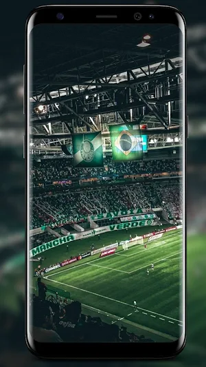 Palmeiras Wallpapers screenshot 5