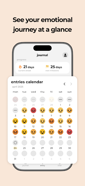 Confide - Video Journal Screenshot 2