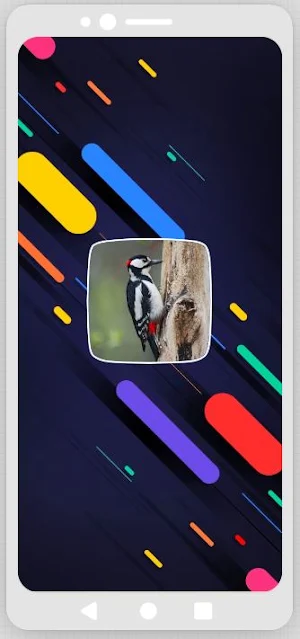 Woodpecker Sounds Screenshot 0