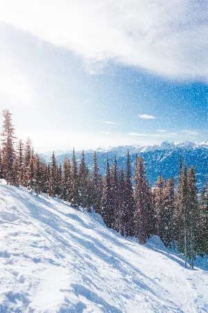 Beautiful Wallpapers Screenshot 1