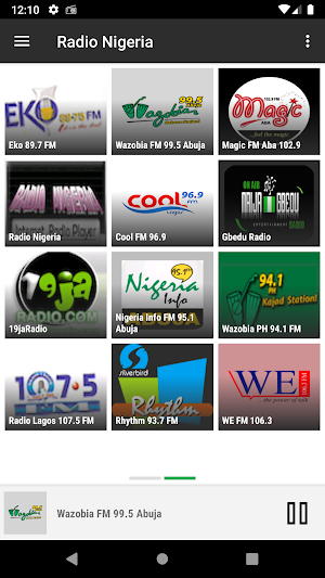RADIO NIGERIA : Online Nigerian radios Screenshot 2