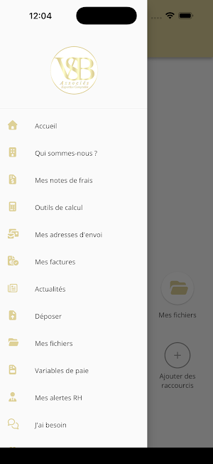 VSB & ASSOCIES Screenshot 2