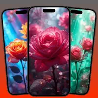 Flower wallpaper - HD & 4K