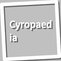 Book, Cyropaedia
