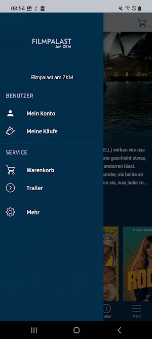Filmpalast am ZKM Screenshot 3