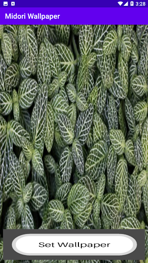 midori wlpr Screenshot 1
