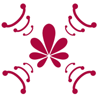 AUIB FM