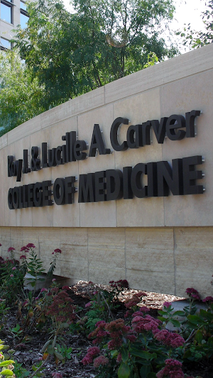 Research at Iowa Medicine Screenshot 0