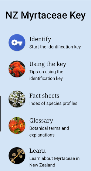 NZ Myrtaceae Key Screenshot 1