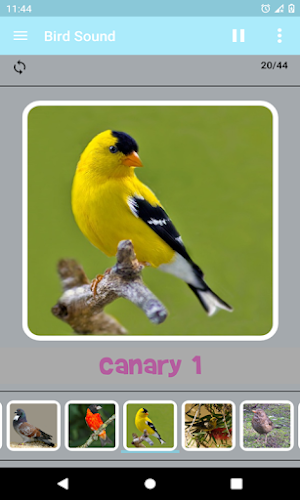 Bird Sound Screenshot 1