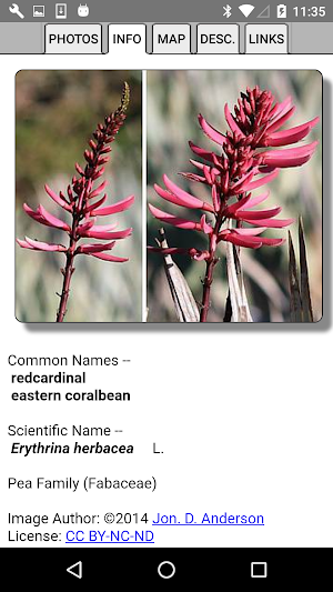 Florida Wildflowers Screenshot 3