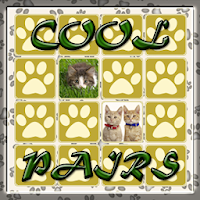 Cool pairs
